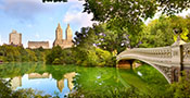 Central Park with Bow Bridge, New York